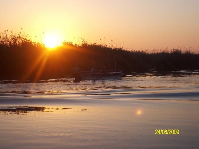 delta rosu 2009 - sany6800.JPG